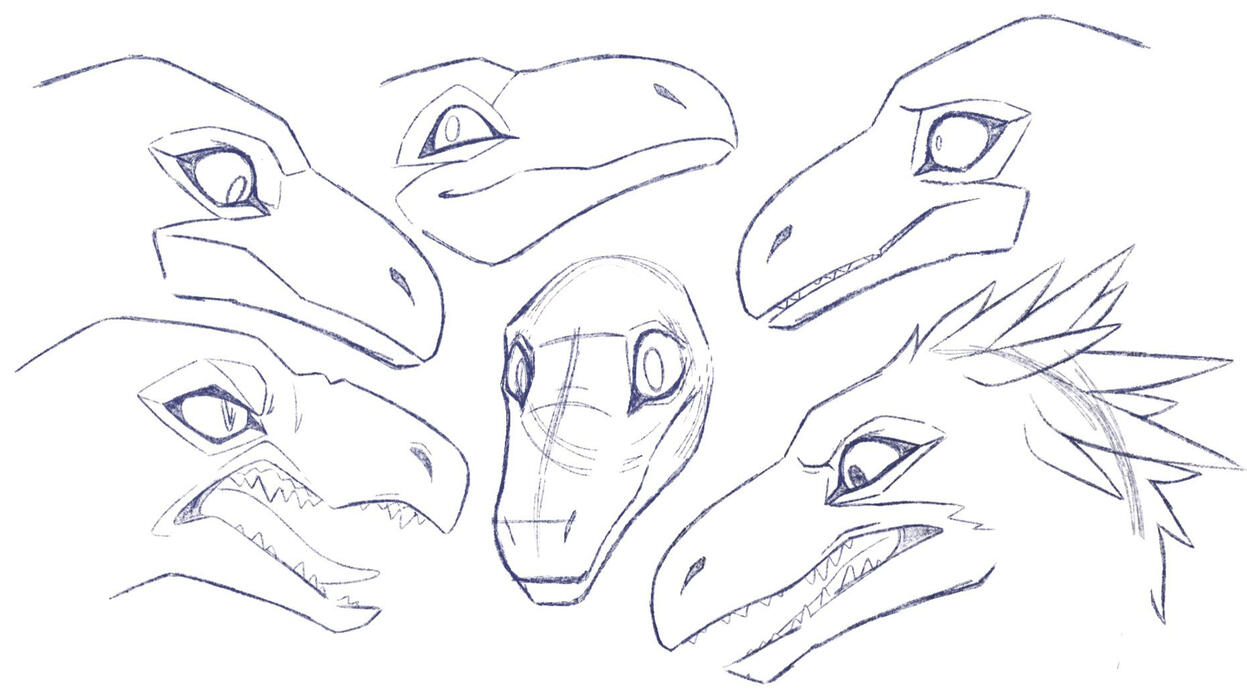 Expression sheet